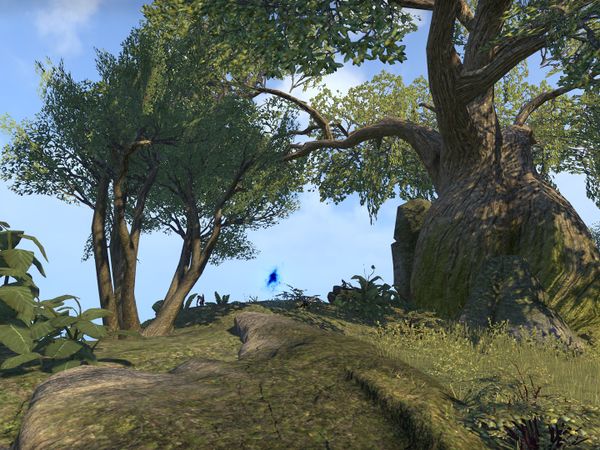 Online:A Breach Amid the Trees - The Unofficial Elder Scrolls Pages (UESP)