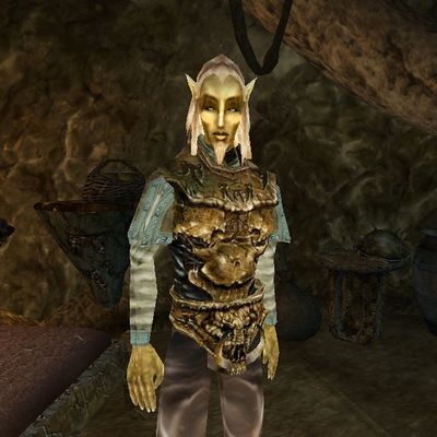 Tamriel Rebuilt:Anirwen - The Unofficial Elder Scrolls Pages (UESP)