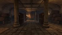 OBR-interior-Castle Skingrad Wine Cellar.jpg