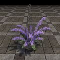 Thumbnail for version as of 17:52, 19 April 2025