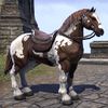 ON-mount-Brown Paint Horse.jpg