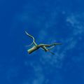 Thumbnail for version as of 01:35, 22 April 2025