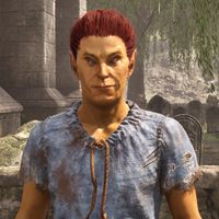 OBR-npc-Errandil 02.jpg