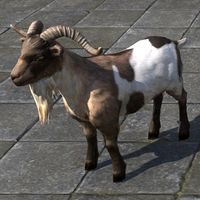 ON-furnishing-Wrothgar Buck Goat.jpg