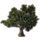ON-icon-furnishing-Tree, Ancient Ginkgo.png