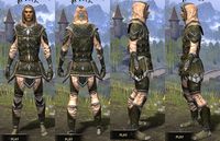 ON-item-armor-Cotton-Jerkin-Altmer-Male.jpg