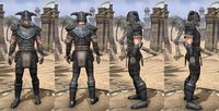 ON-item-armor-Nord Heavy 1 Male.jpg