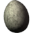 Chicken's Egg