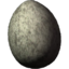 SR-icon-ingredient-Chicken's Egg.png