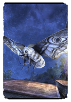 ON-card-Bright Moons Lunar Moth.png