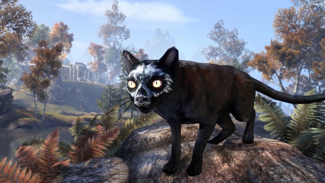 Online haunted house cat the unofficial elder scrolls pages uesp 