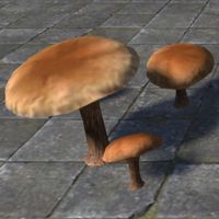 ON-furnishing-Mushroom, Brown Gilled.jpg
