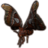 ON-icon-pet-Hearthhome Moth.png