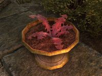 ON-item-Crimson Nirnroot.jpg