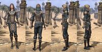 ON-item-armor-Breton Light Jerkin 2 Female.jpg