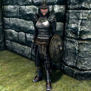 What armor do the companions wear 