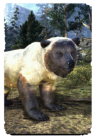 ON-card-Atmoran Snow Bear Cub.png
