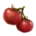 ON-icon-food-Tomato.png