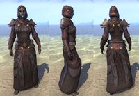 ON-item-armor-Blessed Inheritor Light (Robes).jpg