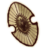 OBR-icon-armor-ElvenShield.png