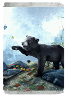 ON-card-Black Bear Cub.png