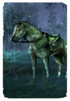 ON-card-Steed of the Afflicted.png