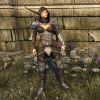 Elven Hero Armor (female)