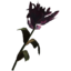 SR-icon-ingredient-Purple Mountain Flower.png