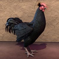ON-pet-Daemon Chicken.jpg