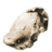 ON-icon-style material-Dragon Bone.png
