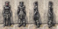 ON-item-armor-Reach Winter Medium Female.jpg