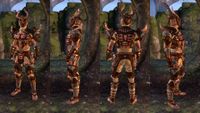 ON-item-armor-Stags of Z'en Heavy.jpg