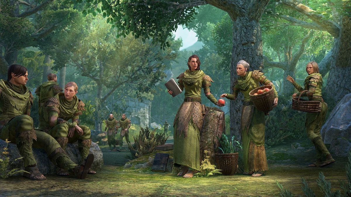 Elder Scrolls Online - L45 Into the Woods 