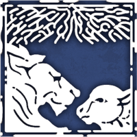 OBR-icon-quest-Paradise.png