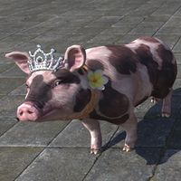 ON-furnishing-Sovereign Sow.jpg