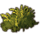 ON-icon-furnishing-Shrub Cluster, Gorse.png