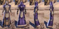 ON-item-armor-Breton Light Robe 4 Male.jpg