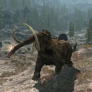 Skyrim:Mammoth - The Unofficial Elder Scrolls Pages (UESP)