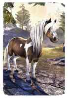 ON-card-Scruffy Skyrim Paint Pony.png
