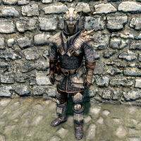 SR-item-Dragonscale Armor.jpg