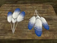 TD3-ing-Aebis Feathers.jpg