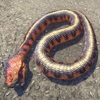 ON-creature-Giant Snake (Cat's Eye Quay).jpg