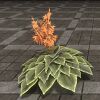 ON-furnishing-Hosta, Orange.jpg