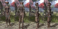 ON-item-armor-Hide-Khajiit-Female.jpg