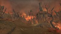 ON-place-Ashen Forest 02.jpg