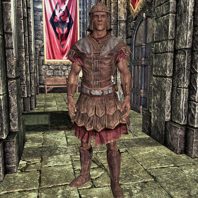 Skyrim:Imperial Soldier - The Unofficial Elder Scrolls Pages (UESP)