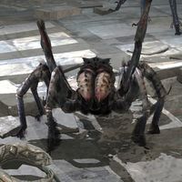 BL-creature-Cave Spider.jpg