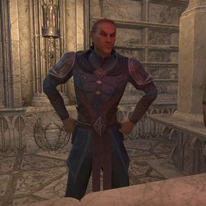 Online:Chronicler Firandil - The Unofficial Elder Scrolls Pages (UESP)