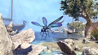 ON-crown store-Sea Sapphire Dovah-Fly.jpg