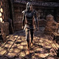 Online:A Favor Returned - The Unofficial Elder Scrolls Pages (UESP)